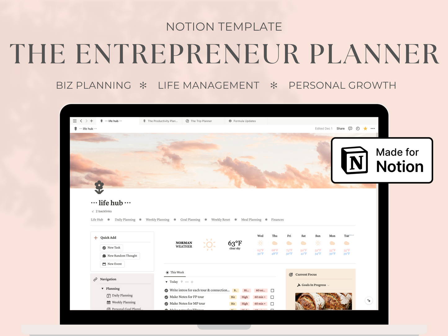 The Entrepreneur Planner